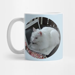 Cat Mug